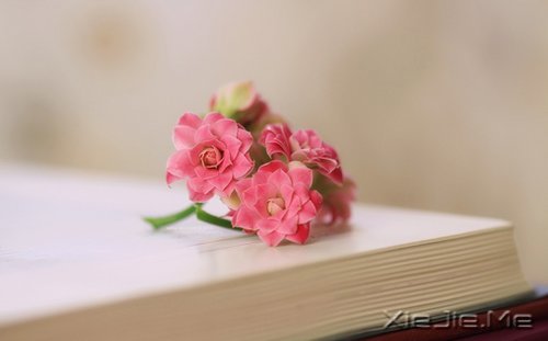 无论好坏，明天都会到来 (1)
