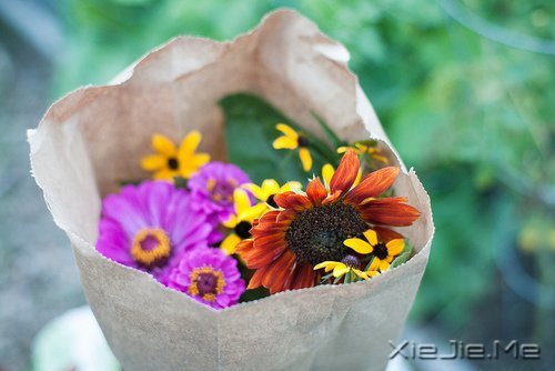 无论好坏，明天都会到来 (3)