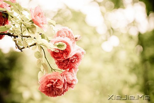 无论好坏，明天都会到来 (8)