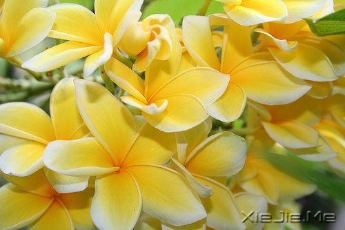 无论好坏，明天都会到来 (9)