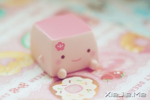 晚安心语：不要为旧的悲伤，浪费新的眼泪 (10)