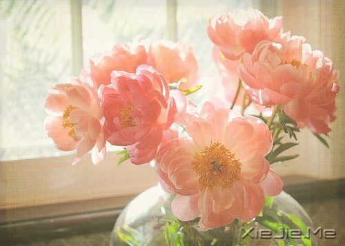 文字：牛逼程浩背后的母亲